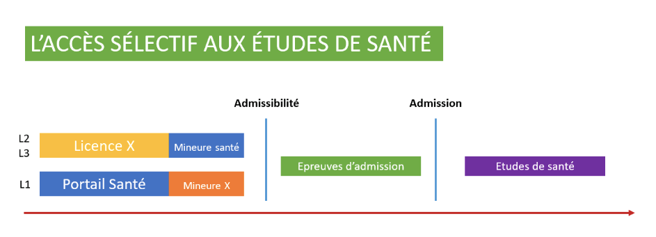 La Réforme de l'Entrée dans les Etudes de Santé | Union Nationale des ...