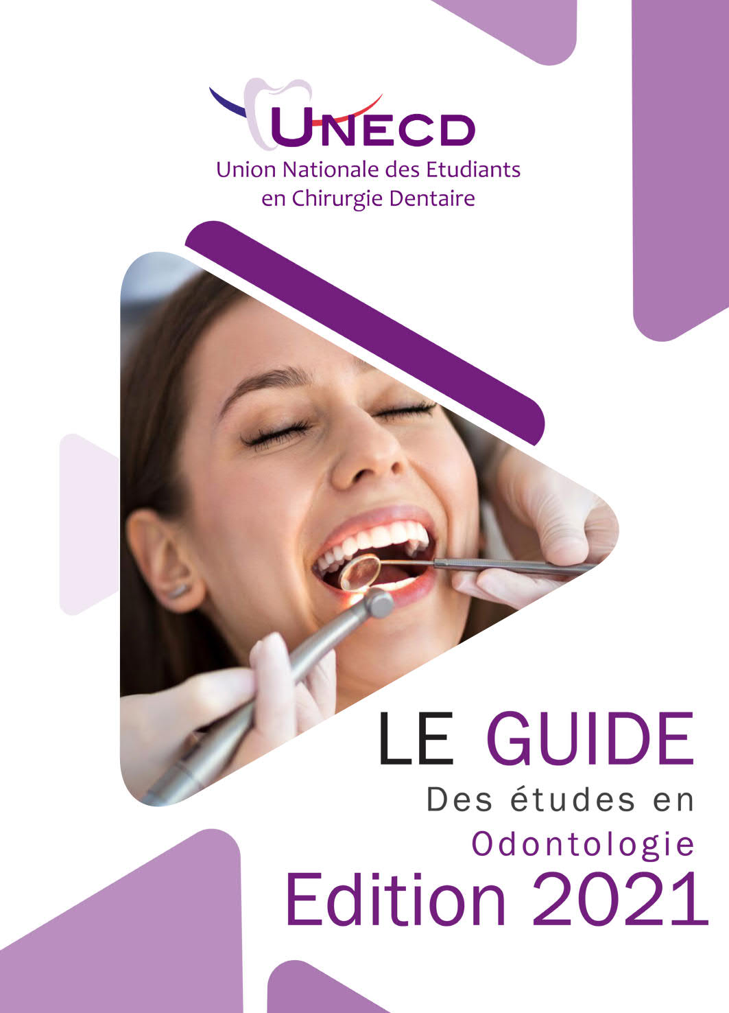 Le Guide De La Chirurgie De L Obésité Pdf Gratuit